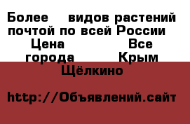 Более200 видов растений почтой по всей России › Цена ­ 100-500 - Все города  »    . Крым,Щёлкино